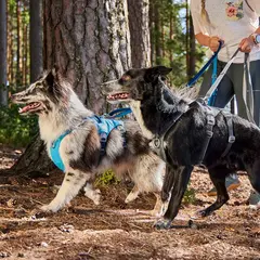 Hurtta Multilong Leash - Дълъг повод закучета, цвят сив, 100 - 300 см / 20 мм