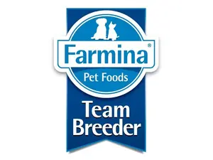 TEAM BREEDER DOG BASIC LAMB 18/12 - пълноценна храна за кучета в зряла възраст с агнешко - 20 кг