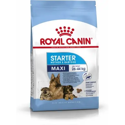 Royal Canin Maxi Starter - суха храна за подрастващи кучета