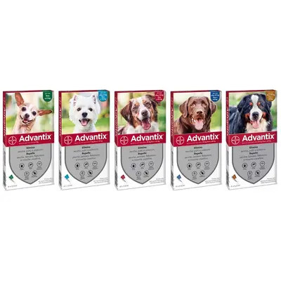 Bayer Advantix Spot On 10-25 кг - КУТИЯ (4бр. пипети)