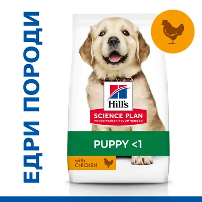 Hill's Science Plan Canine Puppy Large Breed Chicken суха храна за кученца едри породи с пиле - 16 кг.