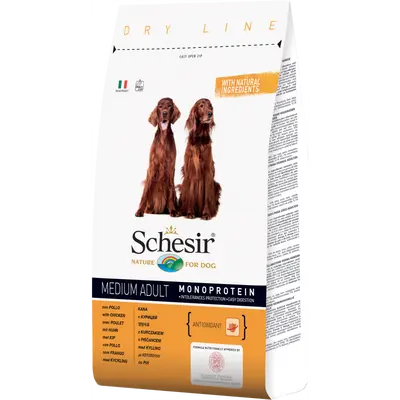 Schesir Medium Adult Chicken - 12 кг.