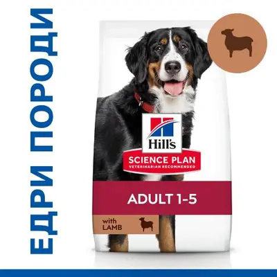 Hill's Science Plan Canine Adult Large Breed Lamb & Rice - кучета от едри породи с агнешко - 14 кг