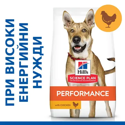 Hill's Science Plan Canine Adult Performance Chicken - високоенергийна храна за кучета от едри породи - 14 кг