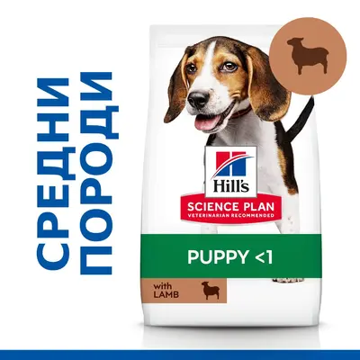 Hill's Science Plan Canine Puppy Medium Lamb суха храна за кученца средни породи с агнешко - 14 кг.