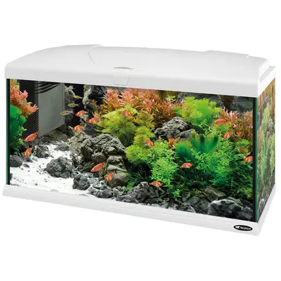 Аквариум Ferplast Capri 80 LED White