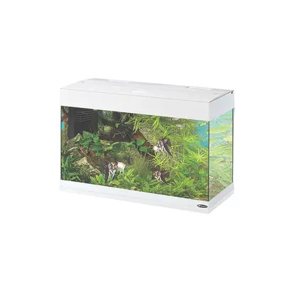 Аквариум Ferplast Dubai 80 LED White