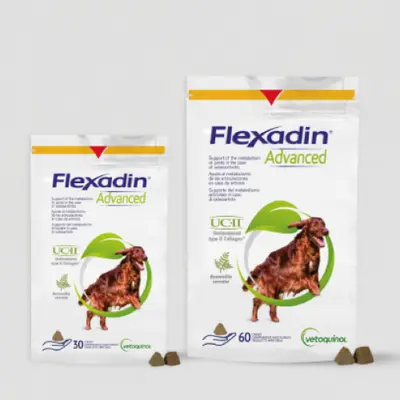 Vetoquinol - Flexadin Advanced - колаген тип II плюс всички съставки на Флексадин плюс, при остеоартритни заболявания 60 табл.