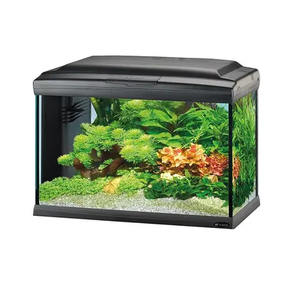 Аквариум Ferplast Cayman 60 LED Professional Black