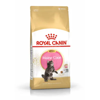 Royal Canin Maine Coon Kitten - За подрастващи котенца до 15 месеца от порода Мейн Кун - 2 кг