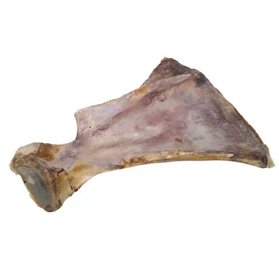 Nobby Nature beef bladebone - Сушена телeшка лопатка, 28-33 см