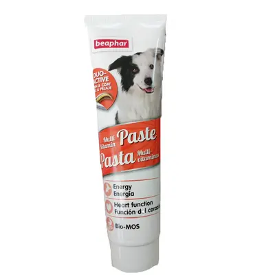 Beaphar Duo Active Paste - Мултивитаминна паста с подпомагащи храносмилането съставки - 100 гр
