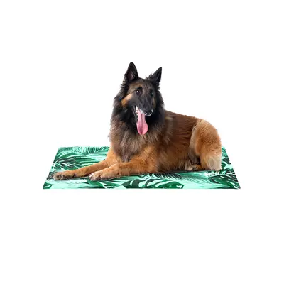 FreeDog Cool Bed Savannah - охлаждащо легло-90х50 см