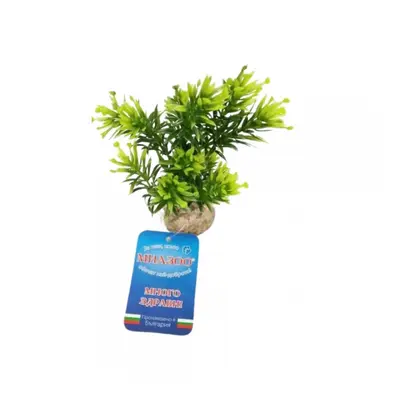 Sydeco Растение Papirus Medium 15см