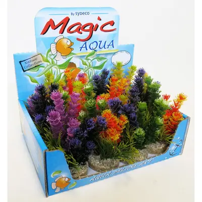 Sydeco Растение Magic Fiesta Colors 16см