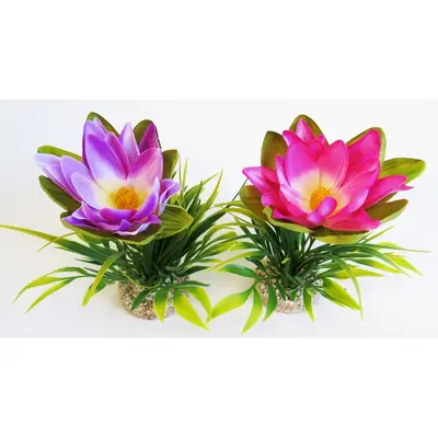 Sydeco Растение Lotus Flower 18см