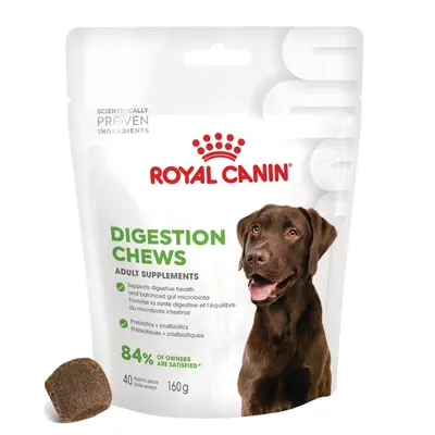 Royal Canin Digestion Adult Supplement - Хранителна добавка за добро храносмилане за кучета -160 г