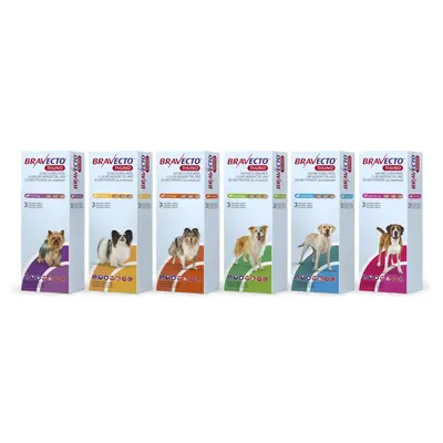 Bravecto TriUno / Бравекто ТриУно 10-20 кг - за вътрешно и външно обезпаразитяване на кучета - КУТИЯ (3 бр. таб)