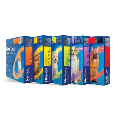 NexGard Spectra XL - 30-60 кг - 2 КУТИИ х 3 ТАБЛЕТКИ