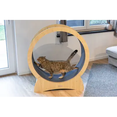 Kerbl Cat exercise wheel - Колело за фитнес за котки 90 см