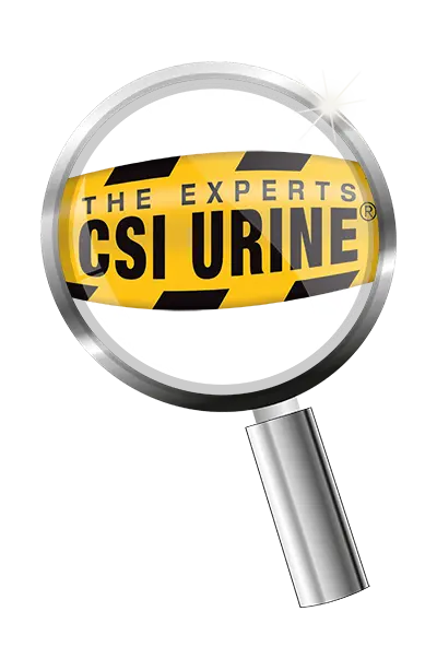 CSI