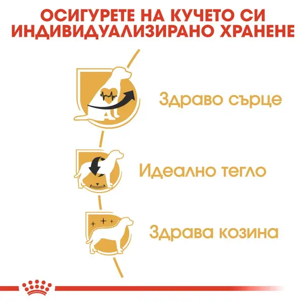 Royal Canin Cavalier King Charles Adult - за кучета от породата Кавалер Кинг Чарлз над 10 месеца- 1.5 кг