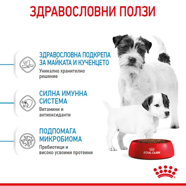 ROYAL CANIN® MINI STARTER MOTHER & BABYDOG - суха храна за подрастващи кучета