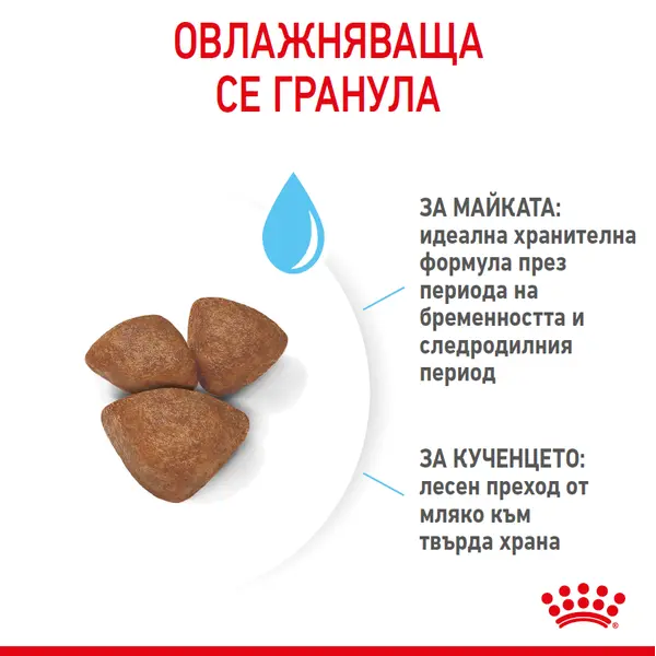 ROYAL CANIN® MINI STARTER MOTHER & BABYDOG - суха храна за подрастващи кучета