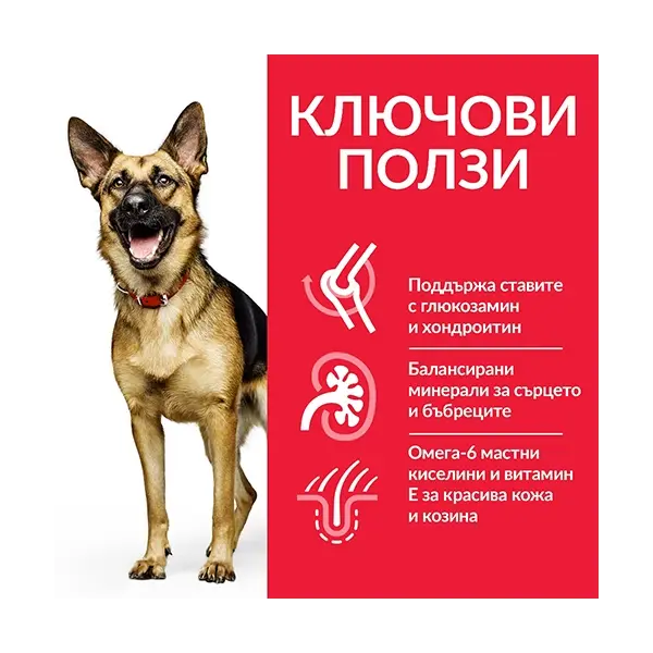 Hill's Science Plan Canine Adult Mature Large Breed Chicken - храна за кучета едри породи над 5г - 14 кг