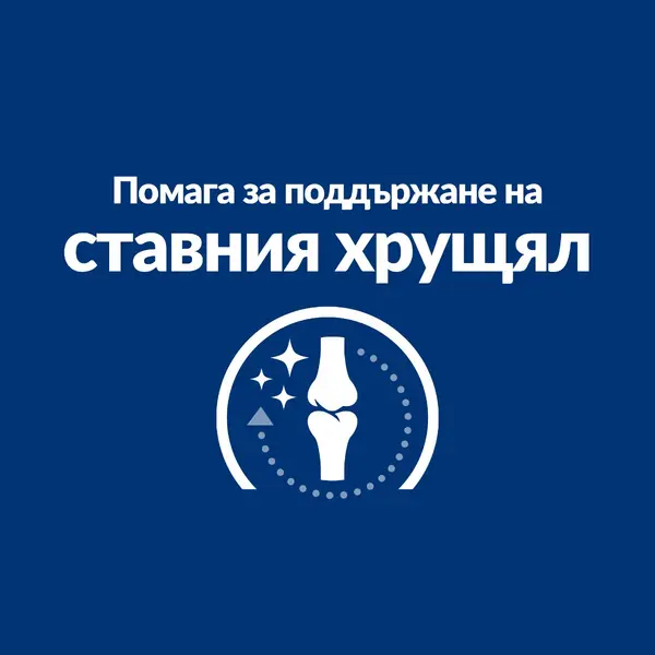 Hill's PRESCRIPTION DIET j/d Joint Care - лечебна суха храна за кучета със ставни проблеми, с пилешко