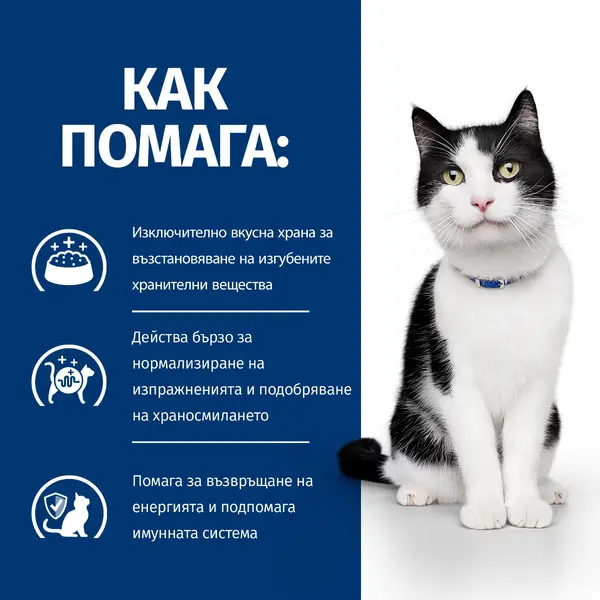Hill's PRESCRIPTION DIET i/d Digestive Care - лечебна суха храна за котки с храносмилателни разстройства и за възстановяване, с пилешко