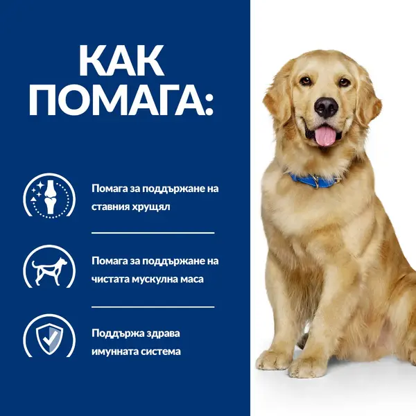 Hill's PRESCRIPTION DIET j/d Joint Care - лечебна суха храна за кучета със ставни проблеми, с пилешко