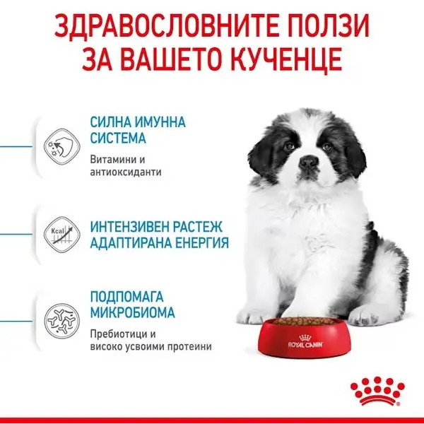 Royal Canin Giant Puppy - суха храна за подрастващи кучета
