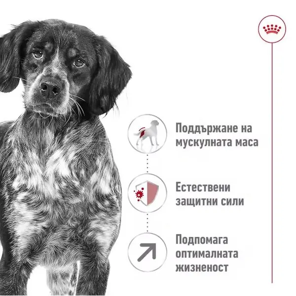 Royal Canin Medium Adult +7 - суха храна за кучета