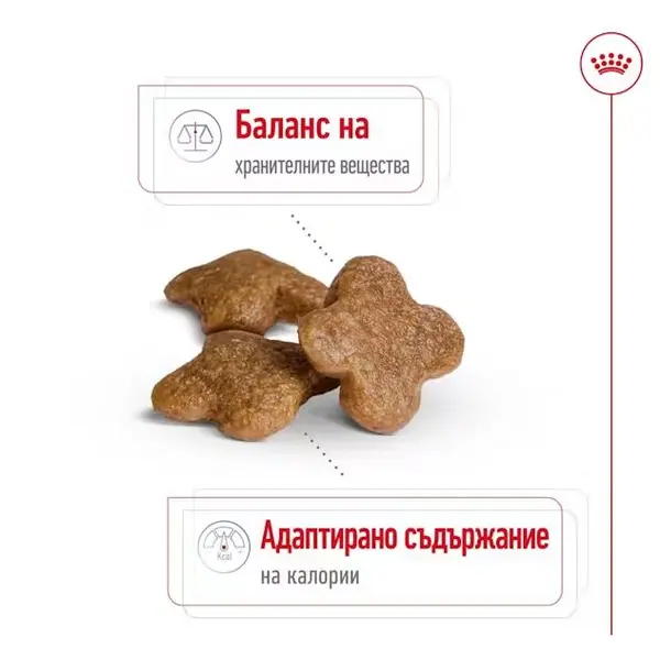 Royal Canin Mini Adult +8 - суха храна за кучета в напреднала възраст