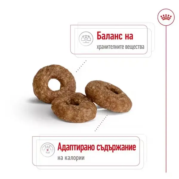Royal Canin Mini Ageing +12 - суха храна за кучета в напреднала възраст - 1.5 кг