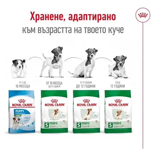 Royal Canin Mini Ageing +12 - суха храна за кучета в напреднала възраст - 1.5 кг