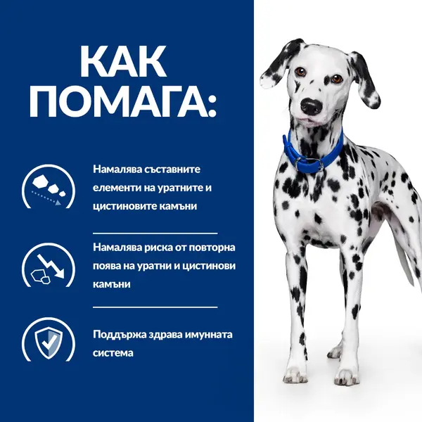 Hill's Prescription Diet u/d - лечебна суха храна за кучета с уринарни проблеми, цистеинови и пуринови уролити