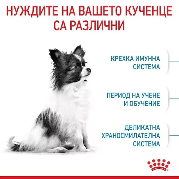 Royal Canin X-Small Puppy - суха храна за подрастващи кучета