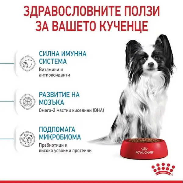 Royal Canin X-Small Puppy - суха храна за подрастващи кучета