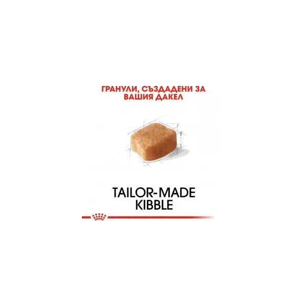 Royal Canin Dachshund Adult - за кучета порода дакел над 10 месечна възраст