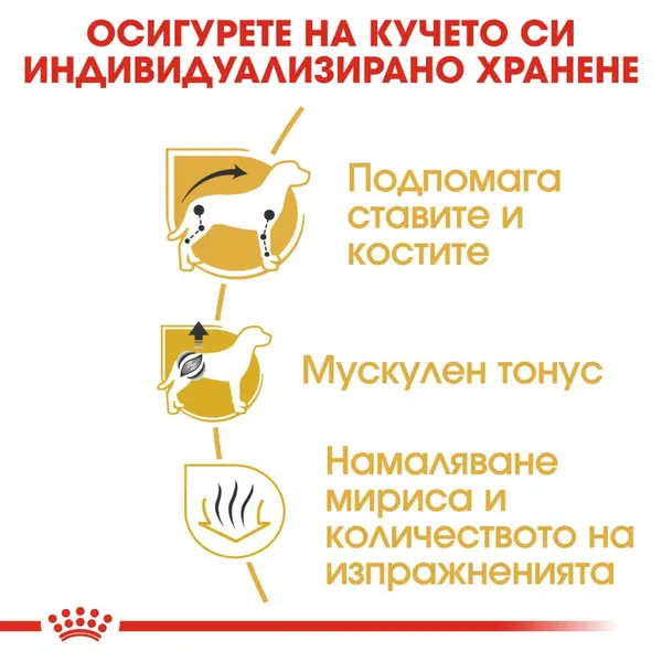 Royal Canin Dachshund Adult - за кучета порода дакел над 10 месечна възраст