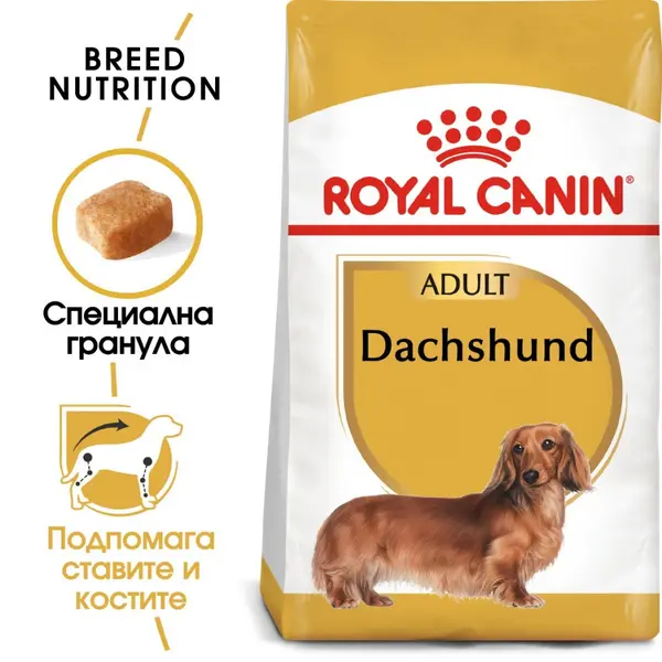 Royal Canin Dachshund Adult - за кучета порода дакел над 10 месечна възраст