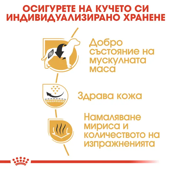 ROYAL CANIN® FRENCH BULLDOG ADULT - за кучета порода френски булдог на възраст над 12 месеца