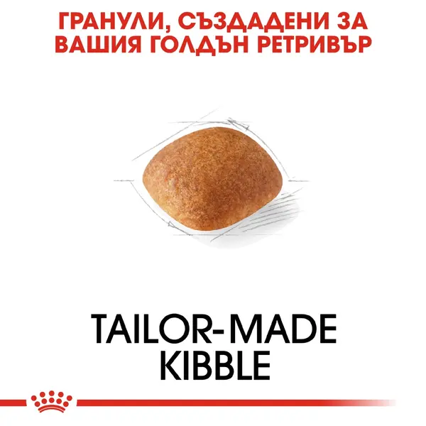 Royal Canin Golden Retriever Adult - за кучета порода Голдън Ретривър на възраст над 15 месеца