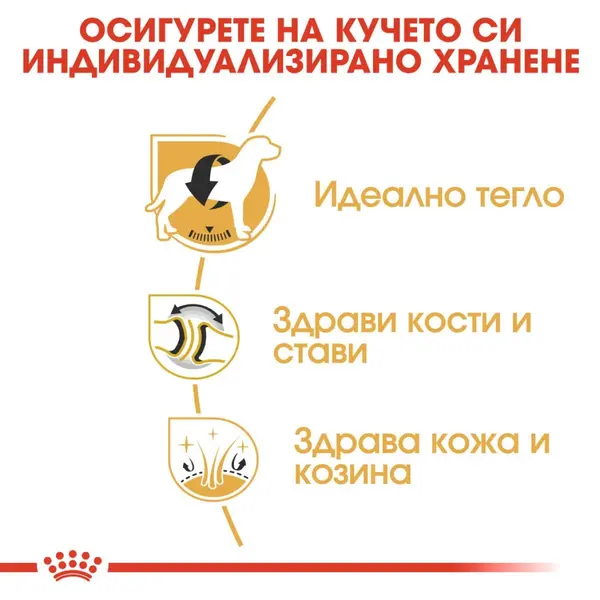 Royal Canin Labrador Retriever Adult - за кучета порода лабрадор на възраст над 15 месеца - 12 кг