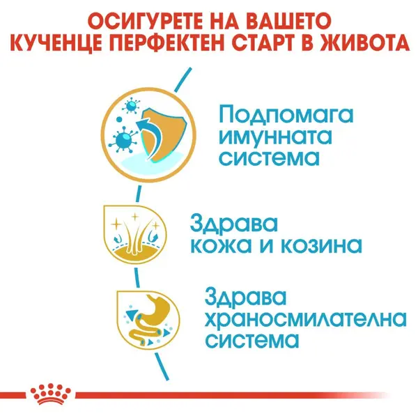 Royal Canin Golden Retriever Puppy - за подрастващи кучета порода Голдън Ретривър на възраст до 15 месеца