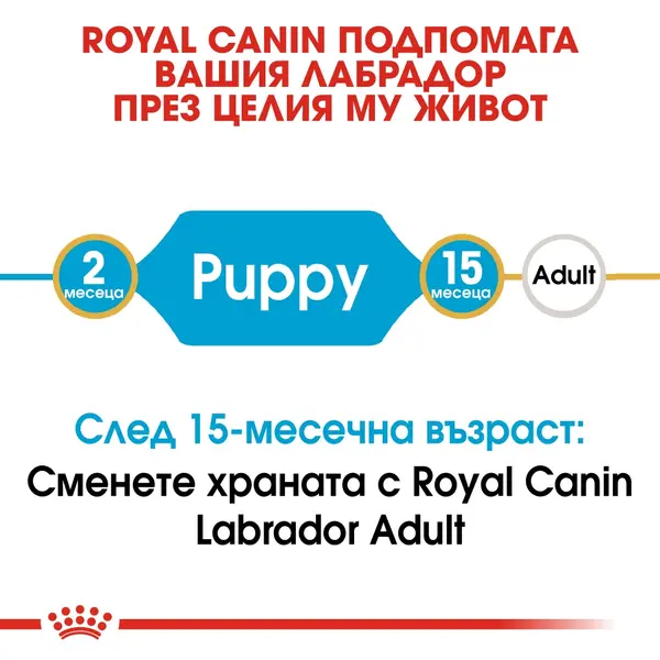 Royal Canin Labrador Retriever Puppy - за подрастващи кучета порода лабрадор на възраст от 1 до 15 месеца