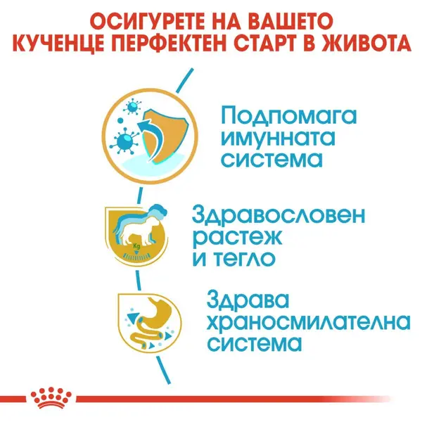 Royal Canin Labrador Retriever Puppy - за подрастващи кучета порода лабрадор на възраст от 1 до 15 месеца