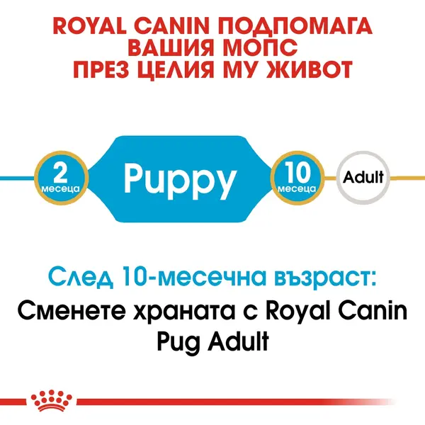 Royal Canin Pug Puppy - за подрастващи кучета порода мопс на възраст от 1 до 8 месеца - 1.5 кг